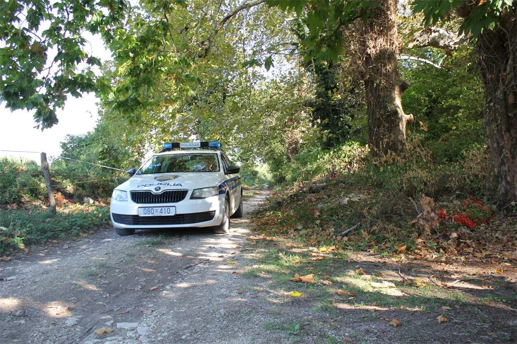 OPREZNO NA CESTAMA IZVAN NASELJA! Sinoć u Istri dva slučaja naleta na divljač